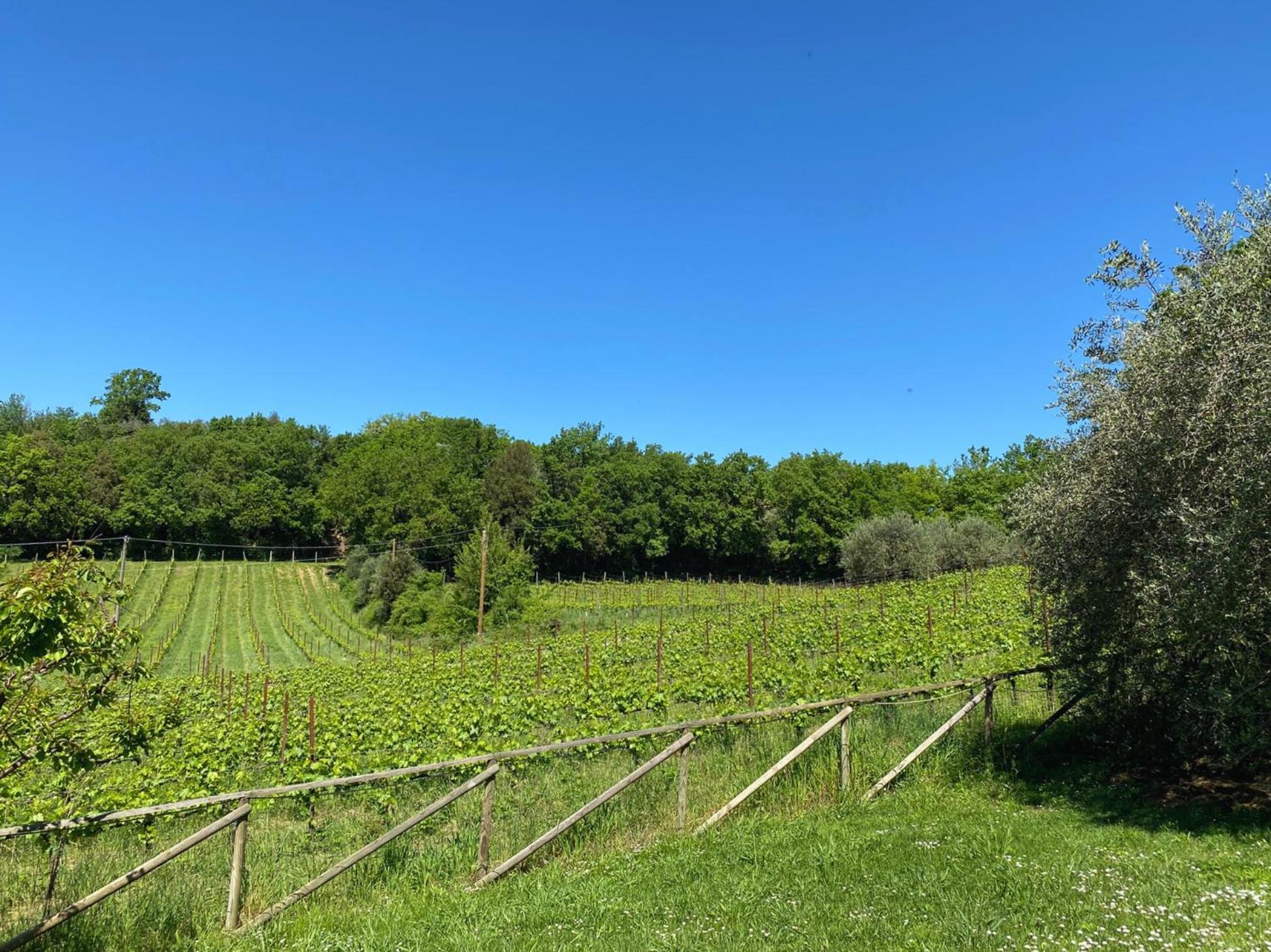 Agriturismo Borgo 7 Tigli - Apt 5 Montepulciano Stazione Buitenkant foto